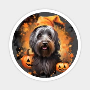 Skye Terrier Halloween Magnet